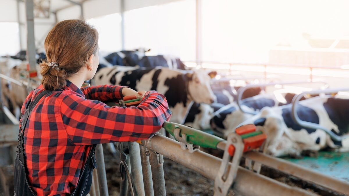 « On se sort un revenu quand on peut » : dans les comptes de Cécile, 37 ans, agricultrice et mère de deux enfants
